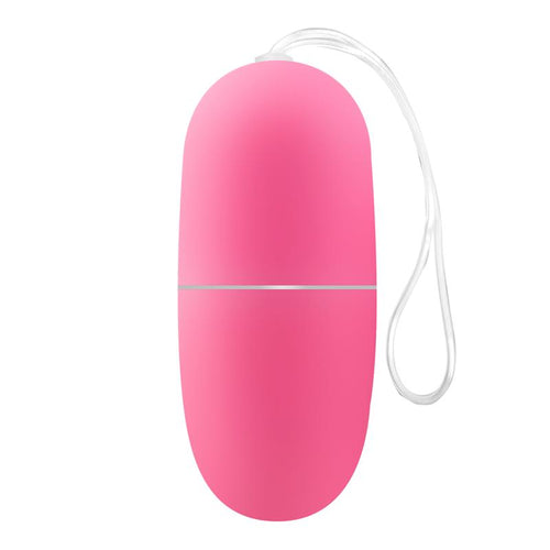 HUEVO VIBRADOR CON CONTROL REMOTO ECOPINK - Spicyandlove