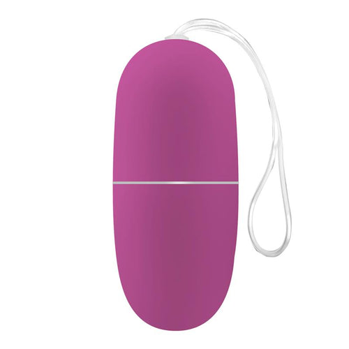 HUEVO VIBRADOR CON CONTROL REMOTO ECOPURPLE - Spicyandlove