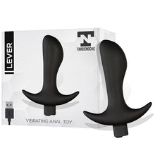 Load image into Gallery viewer, PLUG ANAL LEVER CON VIBRACIÓN SILICONA USB TARDENOCHE - Spicyandlove
